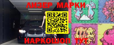 прущие грибы Будённовск