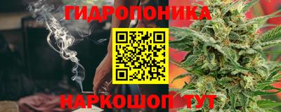 прущие грибы Будённовск